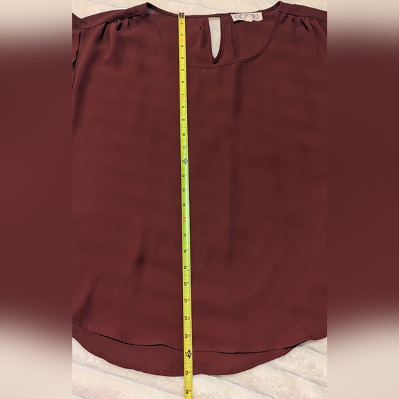 Sheer Pink Rose Burgundy Blouse - Picture 5 of 5